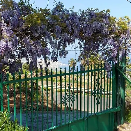 Casa Canarina منزل ريفي Santa Úrsula