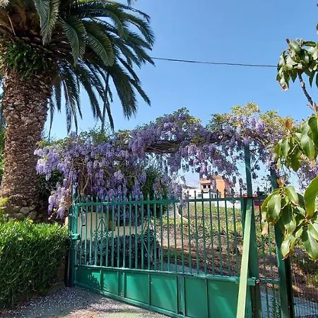 Casa Canarina * Santa Úrsula