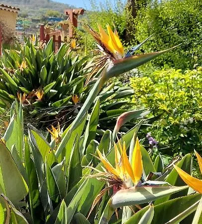 Casa Canarina Santa Úrsula