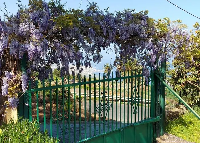 Casa Canarina Country house Santa Ursula (Tenerife)