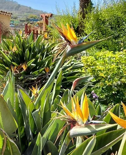 Casa Canarina Santa Ursula (Tenerife)